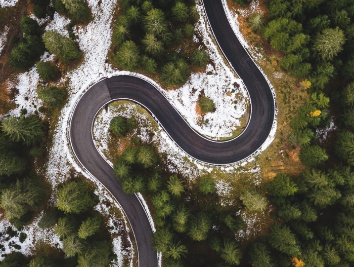 winding road in the forest