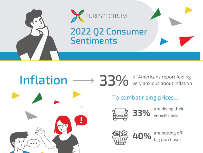 inforgraphic on consumer sentiments