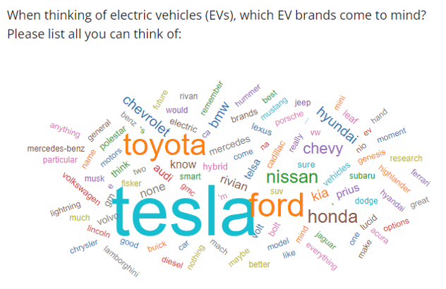 Wordcloud-EVtracker_11zon word cloud
